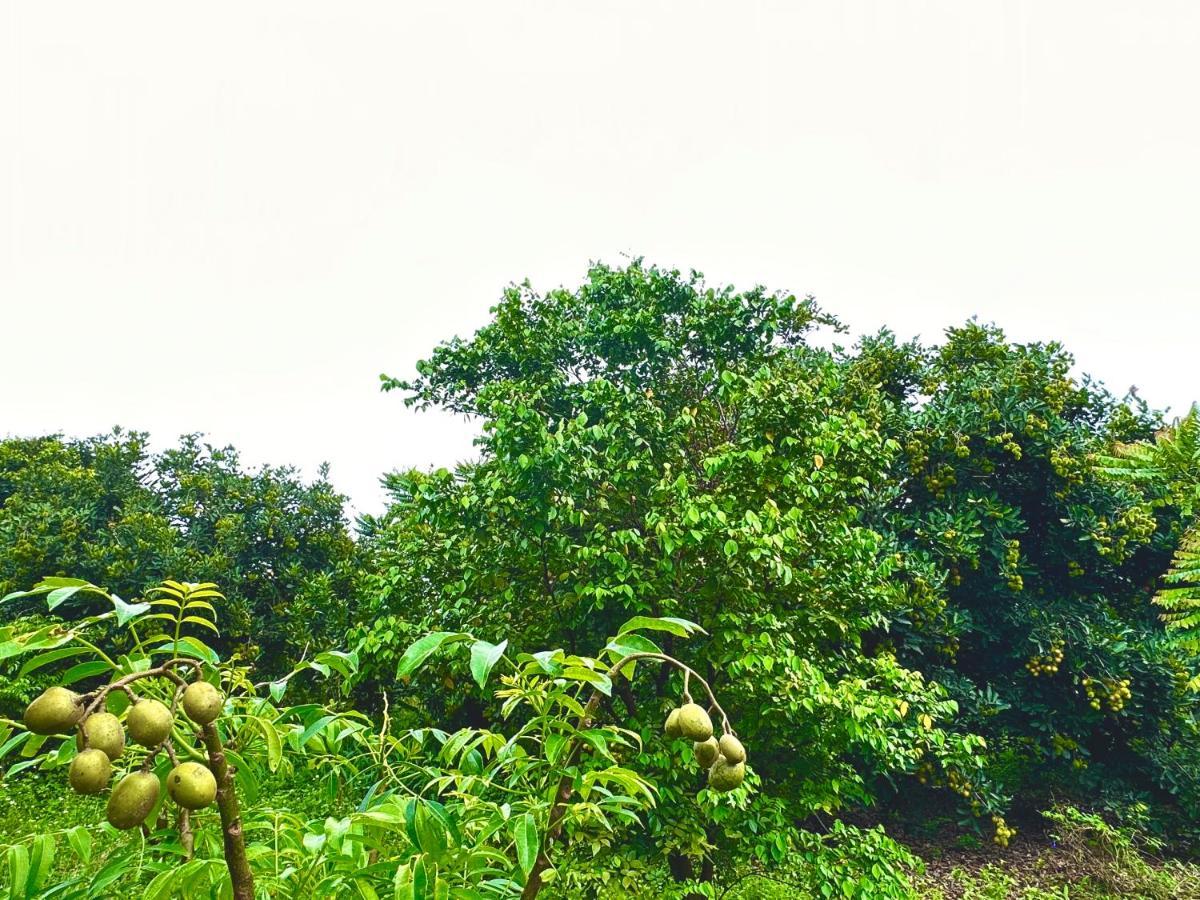 Ben Ho Homestay Xa Gia Tan 外观 照片